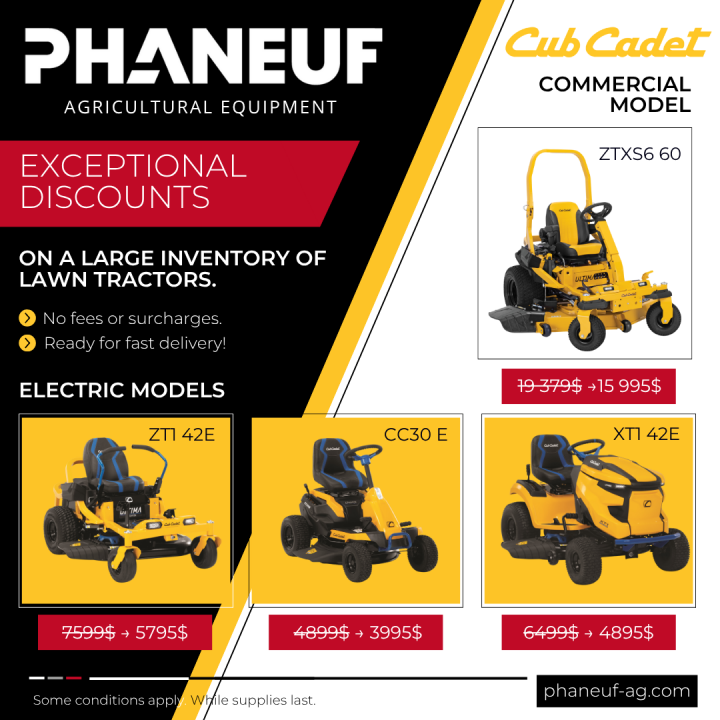 Cub Cadet : Inventory discount